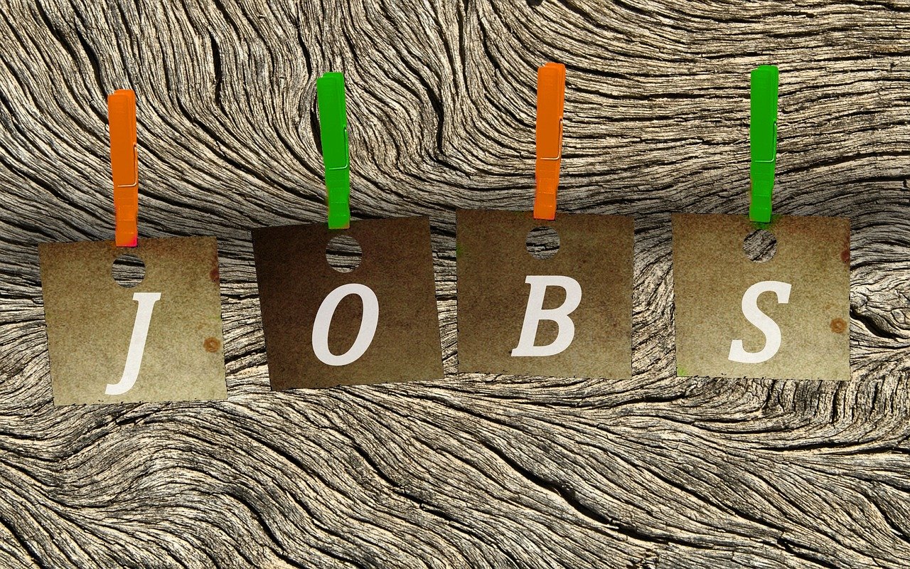 临漳招聘网最新招聘动态,最新职位发布与影响分析